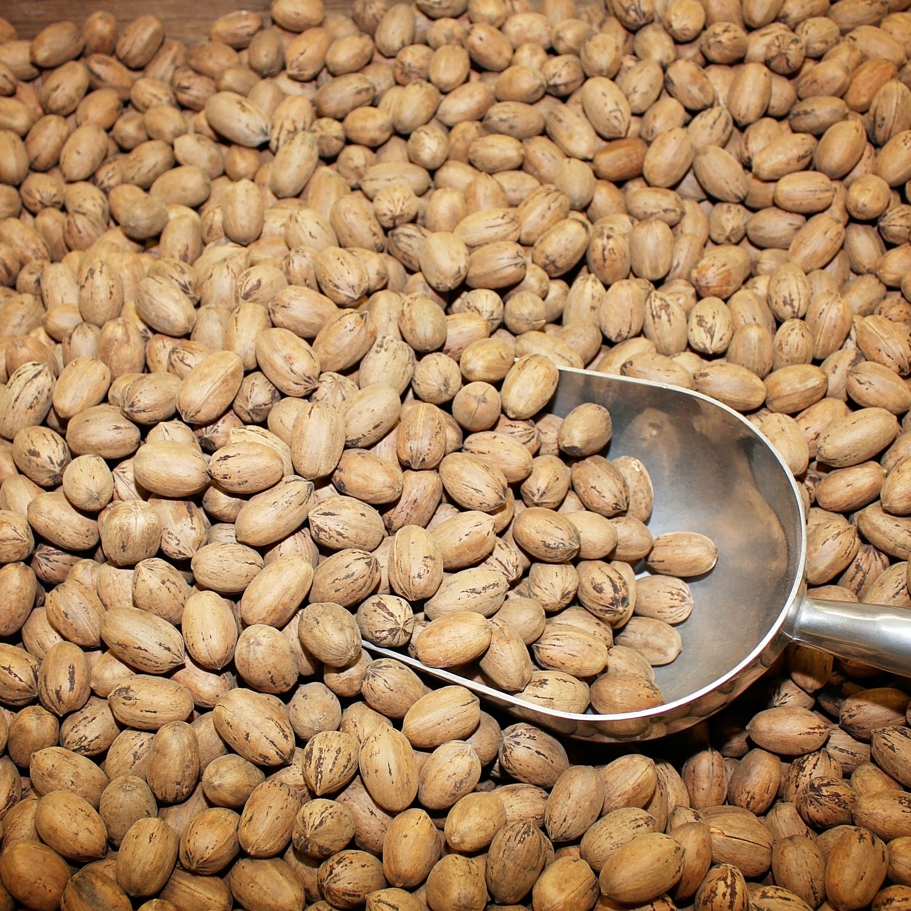 Inshell Pecans – comalpecanfarm